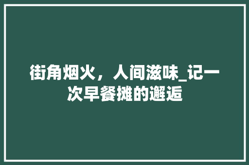 街角烟火，人间滋味_记一次早餐摊的邂逅