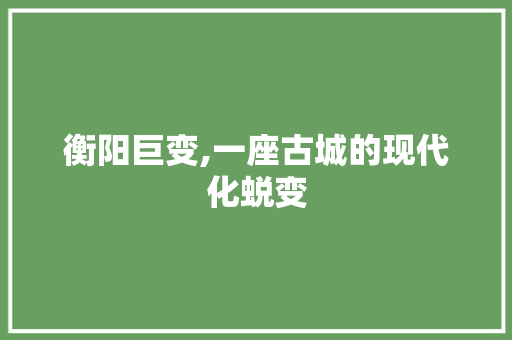 衡阳巨变,一座古城的现代化蜕变