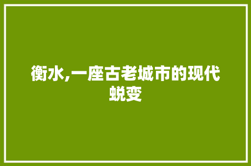 衡水,一座古老城市的现代蜕变