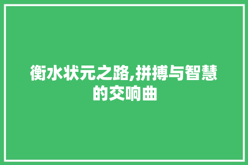 衡水状元之路,拼搏与智慧的交响曲