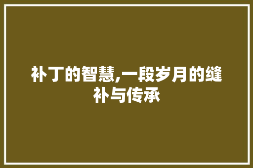 补丁的智慧,一段岁月的缝补与传承