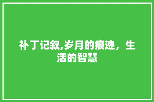 补丁记叙,岁月的痕迹，生活的智慧