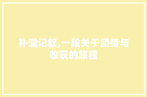 补漏记叙,一段关于坚持与收获的旅程