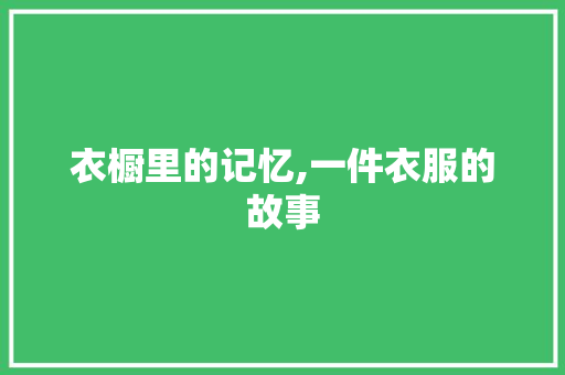 衣橱里的记忆,一件衣服的故事