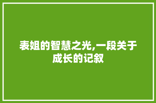 表姐的智慧之光,一段关于成长的记叙