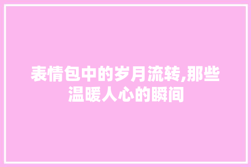 表情包中的岁月流转,那些温暖人心的瞬间