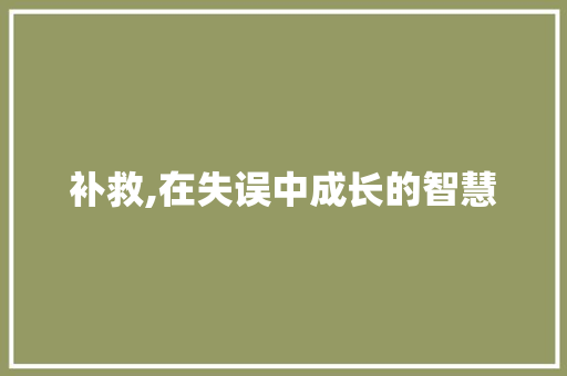 补救,在失误中成长的智慧