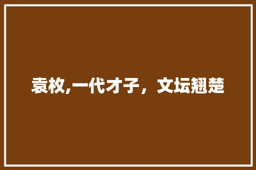 袁枚,一代才子，文坛翘楚