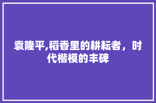 袁隆平,稻香里的耕耘者，时代楷模的丰碑