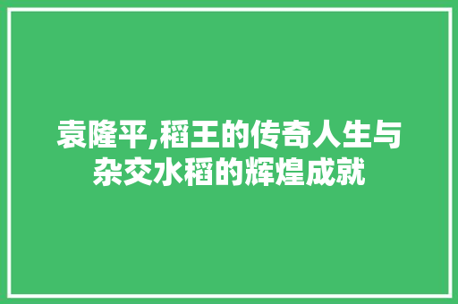 袁隆平,稻王的传奇人生与杂交水稻的辉煌成就