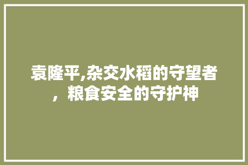 袁隆平,杂交水稻的守望者，粮食安全的守护神