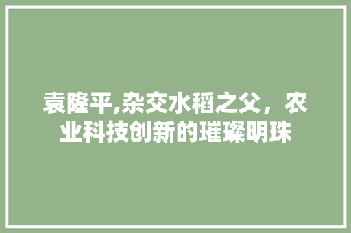 袁隆平,杂交水稻之父，农业科技创新的璀璨明珠