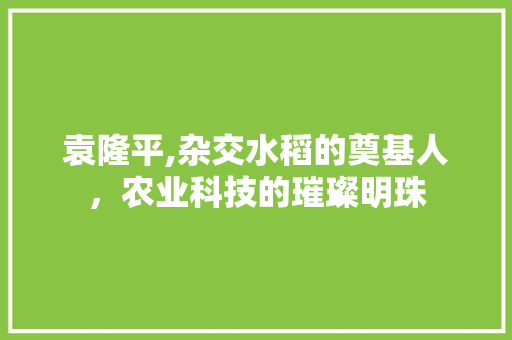 袁隆平,杂交水稻的奠基人，农业科技的璀璨明珠