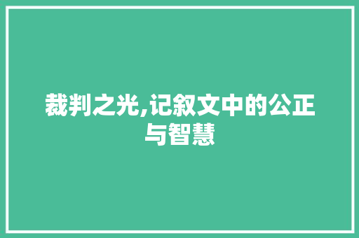 裁判之光,记叙文中的公正与智慧