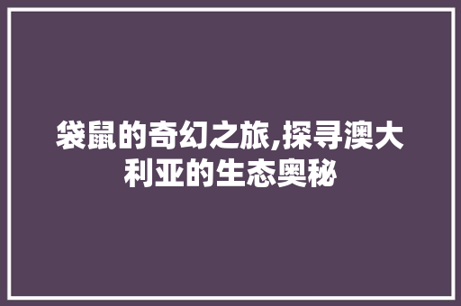 袋鼠的奇幻之旅,探寻澳大利亚的生态奥秘