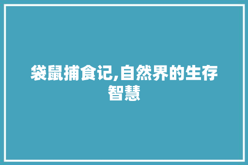 袋鼠捕食记,自然界的生存智慧