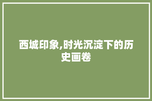 西城印象,时光沉淀下的历史画卷