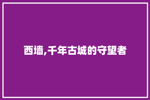 西墙,千年古城的守望者