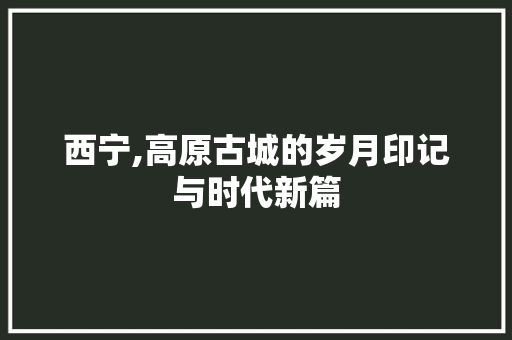 西宁,高原古城的岁月印记与时代新篇