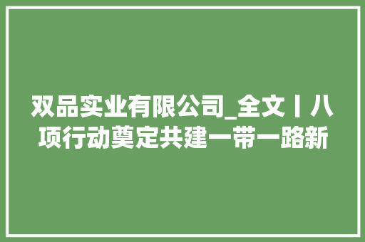 双品实业有限公司_全文丨八项行动奠定共建一带一路新十年优胜开局