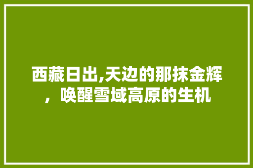 西藏日出,天边的那抹金辉，唤醒雪域高原的生机 职场范文