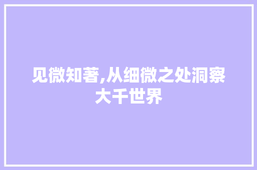 见微知著,从细微之处洞察大千世界