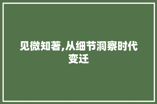 见微知著,从细节洞察时代变迁