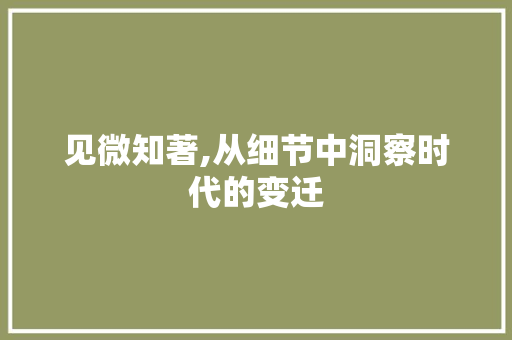 见微知著,从细节中洞察时代的变迁