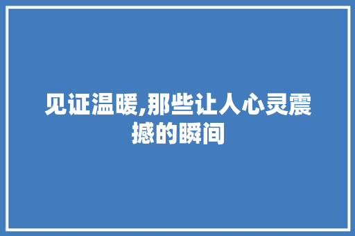 见证温暖,那些让人心灵震撼的瞬间