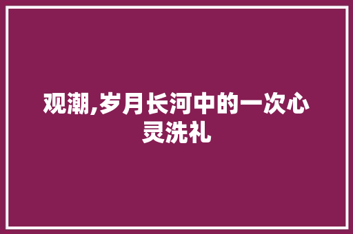 观潮,岁月长河中的一次心灵洗礼