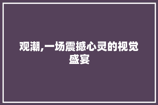 观潮,一场震撼心灵的视觉盛宴