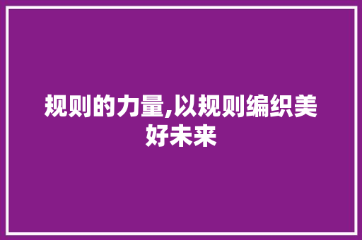 规则的力量,以规则编织美好未来