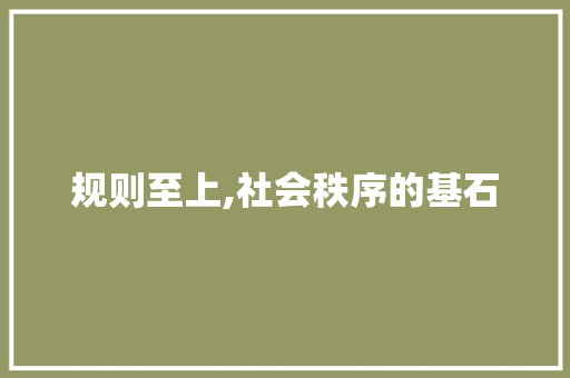 规则至上,社会秩序的基石