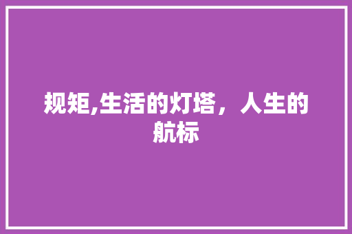 规矩,生活的灯塔，人生的航标