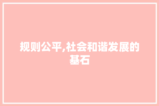 规则公平,社会和谐发展的基石