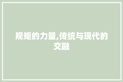 规矩的力量,传统与现代的交融