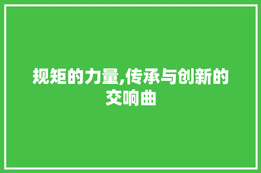 规矩的力量,传承与创新的交响曲