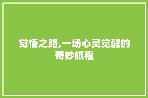 觉悟之路,一场心灵觉醒的奇妙旅程