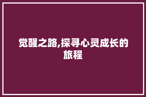 觉醒之路,探寻心灵成长的旅程