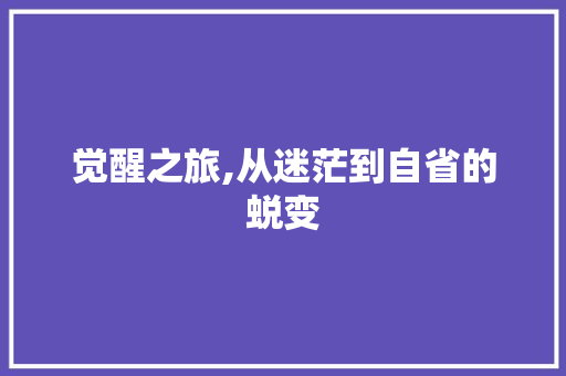 觉醒之旅,从迷茫到自省的蜕变