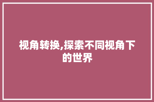 视角转换,探索不同视角下的世界