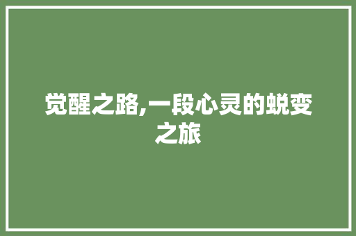 觉醒之路,一段心灵的蜕变之旅