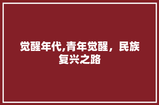 觉醒年代,青年觉醒，民族复兴之路