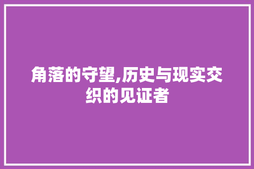 角落的守望,历史与现实交织的见证者