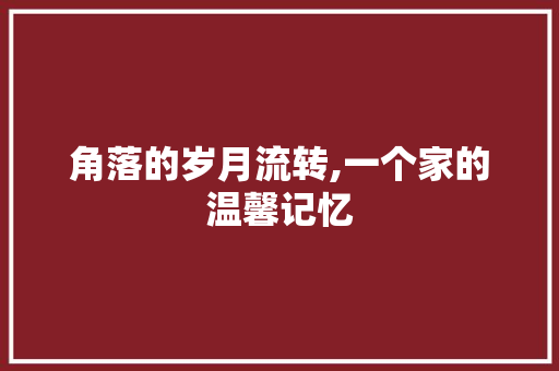 角落的岁月流转,一个家的温馨记忆