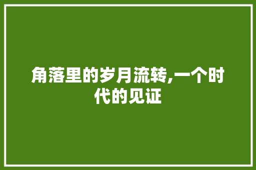 角落里的岁月流转,一个时代的见证