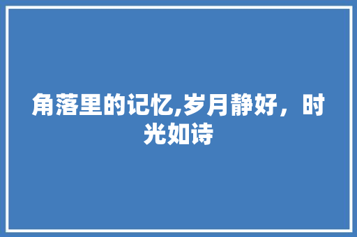 角落里的记忆,岁月静好，时光如诗