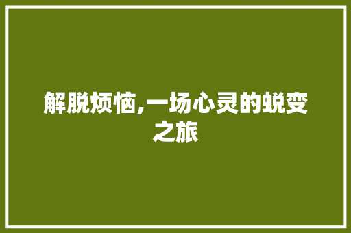 解脱烦恼,一场心灵的蜕变之旅