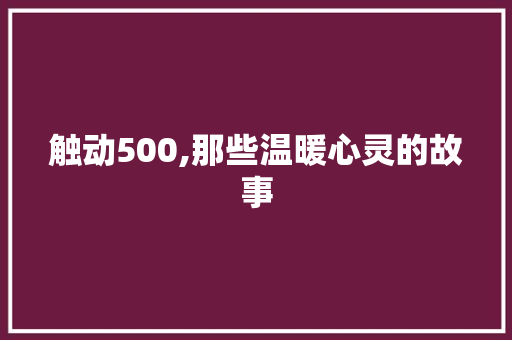 触动500,那些温暖心灵的故事