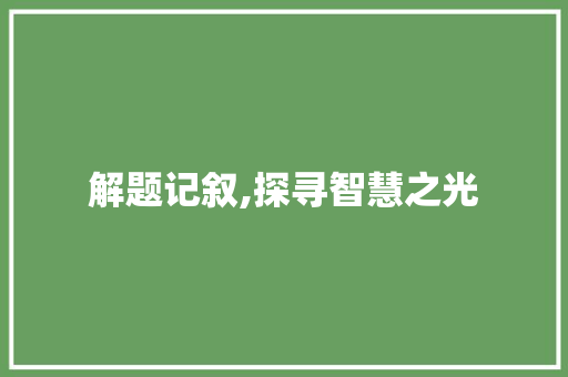 解题记叙,探寻智慧之光